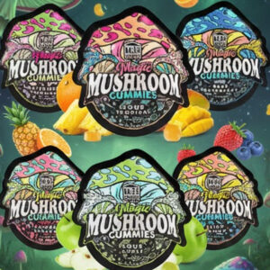 Treehouse Mushrooms